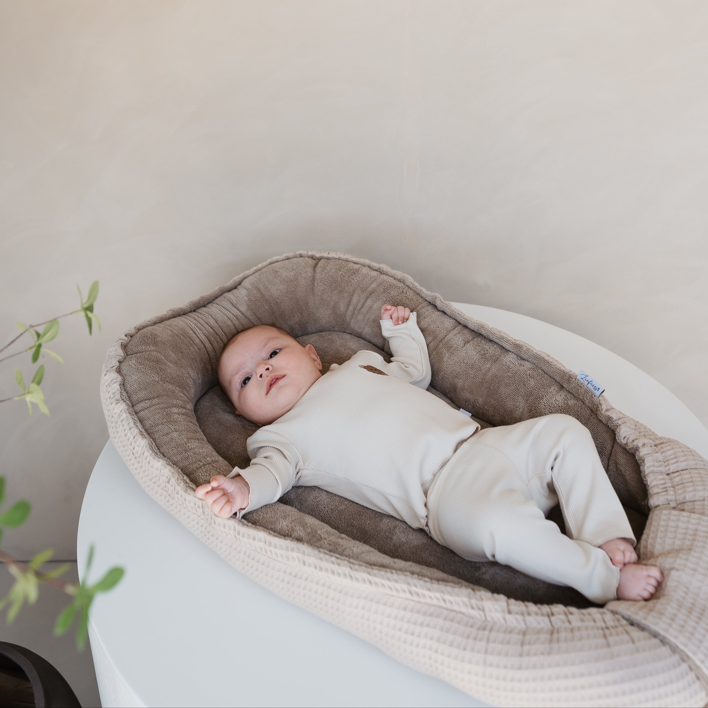 Set Noa - Ecru Rib